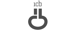 logo icb grigio