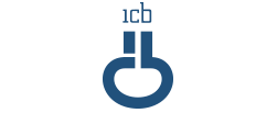 logo icb colori